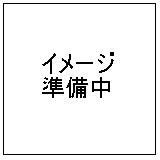 エルミタージュ美術館（冬の宮殿）