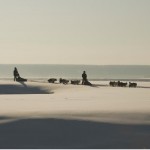 Lena River Dog sledding