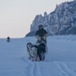 yakutian laika sledding 6 ajar